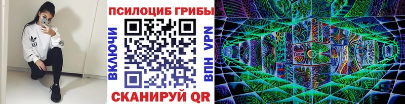 Купить где  Красный Холм  Псилоцибиновые грибы прущие грибы 